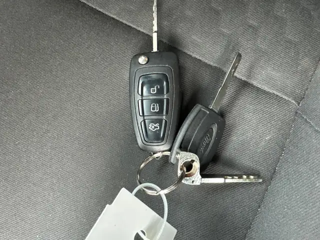 Ford Focus view 11