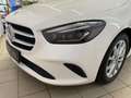 Mercedes-Benz B 220 d Progressive Navigationssystem Tempomat White - thumbnail 19