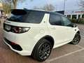 Land Rover Discovery Sport 2.0TD4 SE 4x4 150 Wit - thumbnail 7