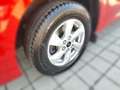 Ford Transit Cust. 300 L1 Limited - thumbnail 10