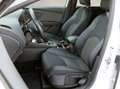 SEAT Leon ST Xcellence 1,5 TSI ACT DSG*DIGI-COCKPIT*NAVI*... Weiß - thumbnail 19