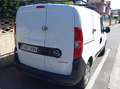 Opel Combo Combo 1.3CDTI Cargo L2H1 increm. 95 Cargo - thumbnail 14