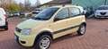 Fiat Panda 1.3 mjt Climbing 4x4 per operatori del settore Gelb - thumbnail 6