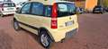 Fiat Panda 1.3 mjt Climbing 4x4 per operatori del settore Gelb - thumbnail 4
