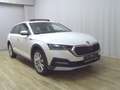 Skoda Octavia 2.0 TDI 4x4 Scout Navi LED vc Pano AHK Blanc - thumbnail 3