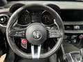 Alfa Romeo Stelvio Stelvio 2.9 bi-t V6 Quadrifoglio Q4 510cv auto Nero - thumbnail 10