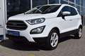 Ford EcoSport Cool & Connect Wit - thumbnail 2