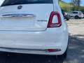 Fiat 500 1.0 hybrid Dolcevita 70cv Wit - thumbnail 23