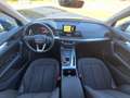 Audi Q5 Q5 35 2.0 tdi mhev Business Design 163cv S-Tronic Blu/Azzurro - thumbnail 8