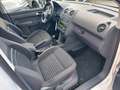 Volkswagen Caddy Kombi Maxi Comfortline 7 Sitze Team Weiß - thumbnail 22