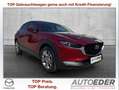 Mazda CX-30 e-Skyactive G140 Exclusive-Line Aut. Rot - thumbnail 1