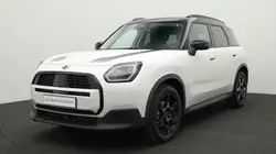 Mini Other Classic Trim