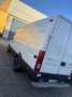Iveco Daily 65C15 Білий - thumbnail 4