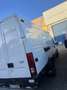 Iveco Daily 65C15 Білий - thumbnail 3