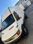 Iveco Daily 65C15 Білий - thumbnail 5