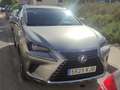 Lexus NX 300h NX 300h Executive 4WD Executive Bronce - thumbnail 6