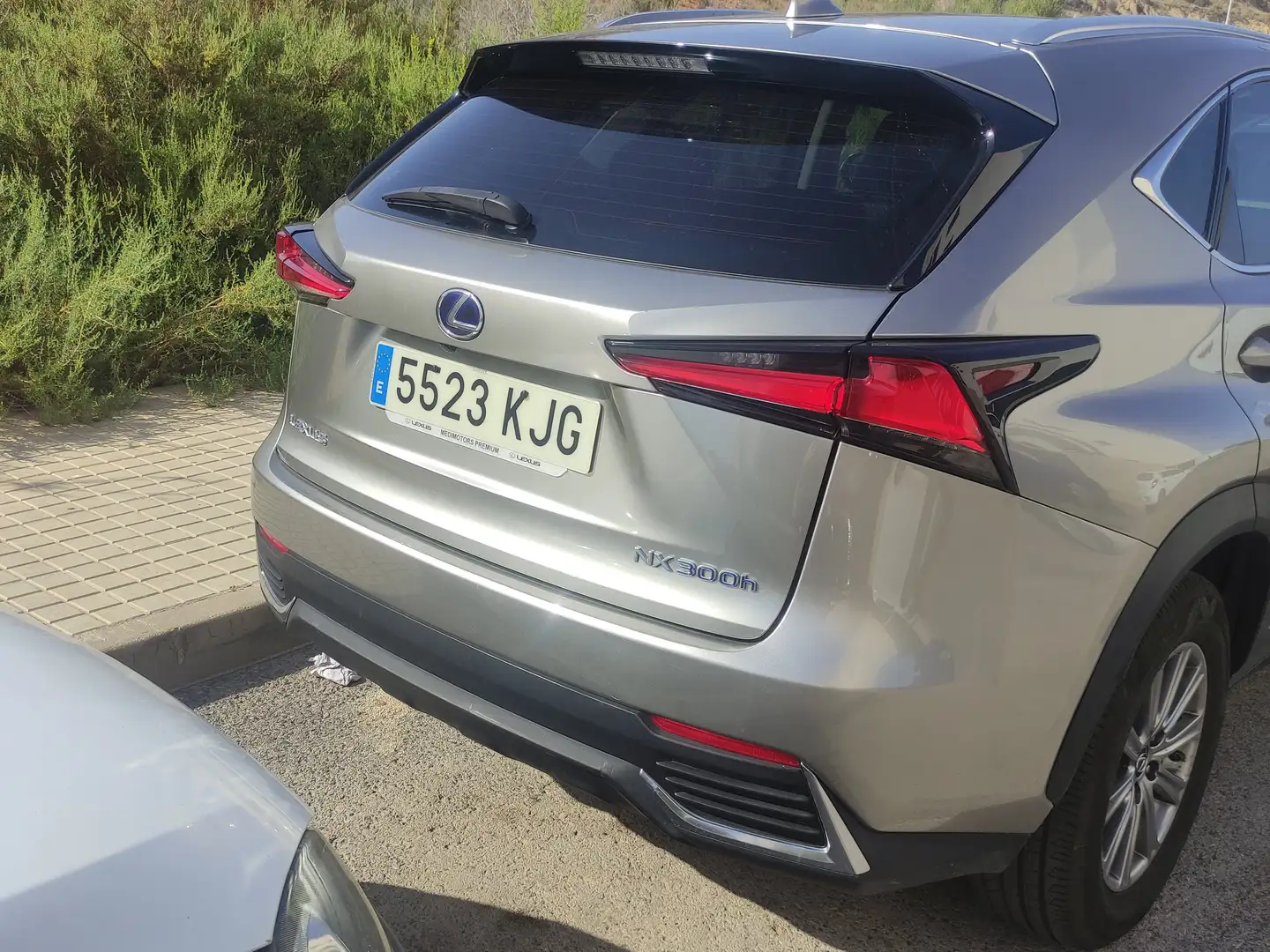 Lexus NX 300h NX 300h Executive 4WD Executive Bronce - 1