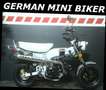 Skyteam Skymax 125 CLUB-S INJECTION de LUXE EURO 5-Auslaufmodell- Rouge - thumbnail 20