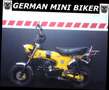 Skyteam Skymax 125 CLUB-S INJECTION de LUXE EURO 5-Auslaufmodell- Rot - thumbnail 5