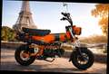 Skyteam Skymax 125 CLUB-S INJECTION de LUXE EURO 5+ MODELL 2026 Verde - thumbnail 3