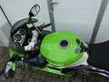 Kawasaki Ninja ZX-9R schöner originaler Zustand, KD und Tüv neu Verde - thumbnail 14