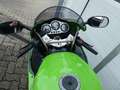 Kawasaki Ninja ZX-9R schöner originaler Zustand, KD und Tüv neu Verde - thumbnail 13