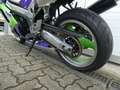 Kawasaki Ninja ZX-9R schöner originaler Zustand, KD und Tüv neu Verde - thumbnail 7