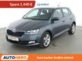 Skoda Fabia 1.0 MPI Cool Plus*PDC*SHZ*ALU*KLIMA*TOUCH* Grau - thumbnail 1