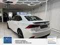Lexus Sonstige IS 300h Sport Line Park-Assistent mit Rückfahrkame Weiß - thumbnail 26