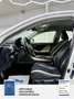 Lexus Sonstige IS 300h Sport Line Park-Assistent mit Rückfahrkame Weiß - thumbnail 14