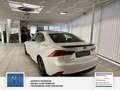 Lexus Sonstige IS 300h Sport Line Park-Assistent mit Rückfahrkame Weiß - thumbnail 9