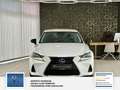 Lexus Sonstige IS 300h Sport Line Park-Assistent mit Rückfahrkame Weiß - thumbnail 2