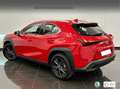 Lexus UX 250h 2.0 Premium Rot - thumbnail 3