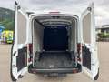 Ford Transit Kastenwagen Ford Transit 2,0 EcoBlue L2H2 290 Trend Weiß - thumbnail 7