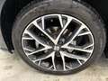 SEAT Ibiza 1,0TSI Xcellence Alcantara Kamera Voll-LED Grau - thumbnail 3