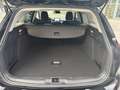 Ford Focus Focus Traveller 1,5 EcoBlue Active Active - thumbnail 8