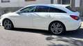 Mercedes-Benz CLA 180 CLA Shooting Brake 180 d mit Panorama Weiß - thumbnail 2