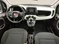 Fiat Palio 1.0 70CV HYBRID CROSS Verde - thumbnail 9