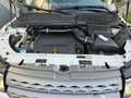 Land Rover Range Rover Evoque Range Rover Evoque Pure 2,2 TD4 Wit - thumbnail 19
