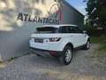 Land Rover Range Rover Evoque Range Rover Evoque Pure 2,2 TD4 Wit - thumbnail 5