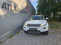 Land Rover Range Rover Evoque Range Rover Evoque Pure 2,2 TD4 Wit - thumbnail 2