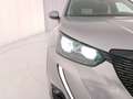 Peugeot 2008 BlueHDi 110 S&S Active Pack Argento - thumbnail 25