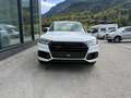 Audi Q5 3,0 TDI quattro sport Weiß - thumbnail 7
