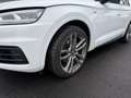 Audi Q5 3,0 TDI quattro sport Weiß - thumbnail 32
