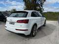 Audi Q5 3,0 TDI quattro sport Weiß - thumbnail 5