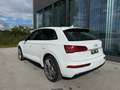 Audi Q5 3,0 TDI quattro sport Weiß - thumbnail 3