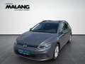 Volkswagen Golf Variant Life TDI Grau - thumbnail 1