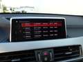 BMW X1 sDrive20i xLine Steptronic , Panorama, Navi Grigio - thumbnail 13