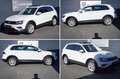 Volkswagen Tiguan 2.0 TDI DSG|ALLRAD|HIGHLINE|VIRTUAL|PANO Weiß - thumbnail 23