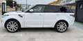 Land Rover Range Rover Sport 3.0TDV6 HSE Aut. Blanc - thumbnail 6